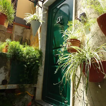 Daire La Scogliera